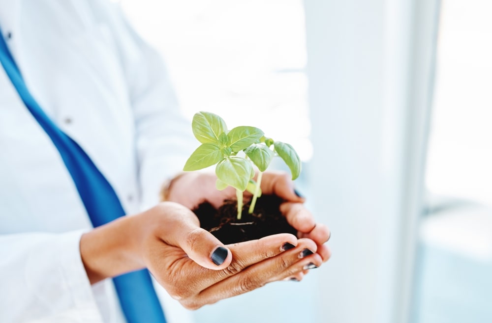 A closeup shot of a doctor’s hands: the doctor holds a plant that is growing out of a pile of soil.